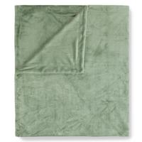 PLAID UNI SAGE GRÜN - Salbeigrün/Grün, Basics, Textil (160/180cm)