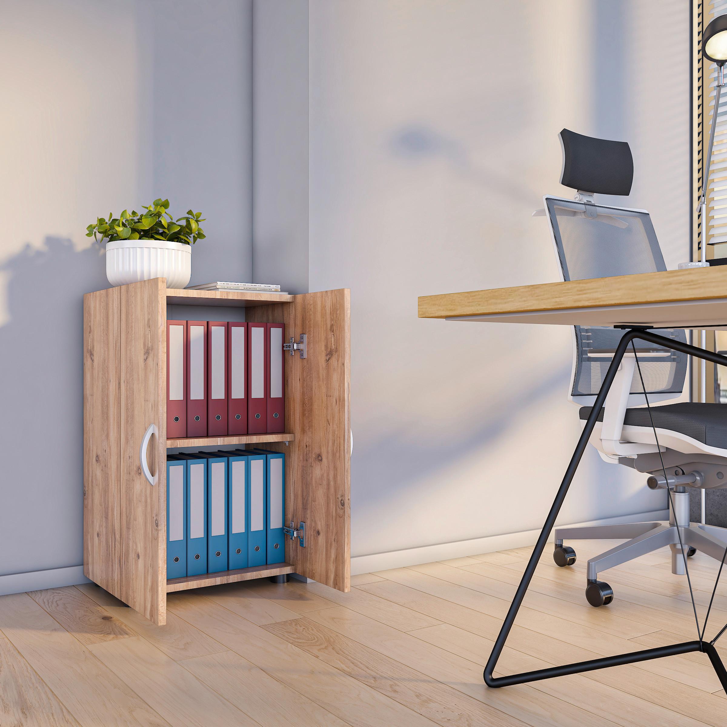 Aktenschrank Ulas 2 Honigeiche Dekor B: 49 cm - Honigeiche, MODERN, Holzwerkstoff (49/74/34cm) - MID.YOU