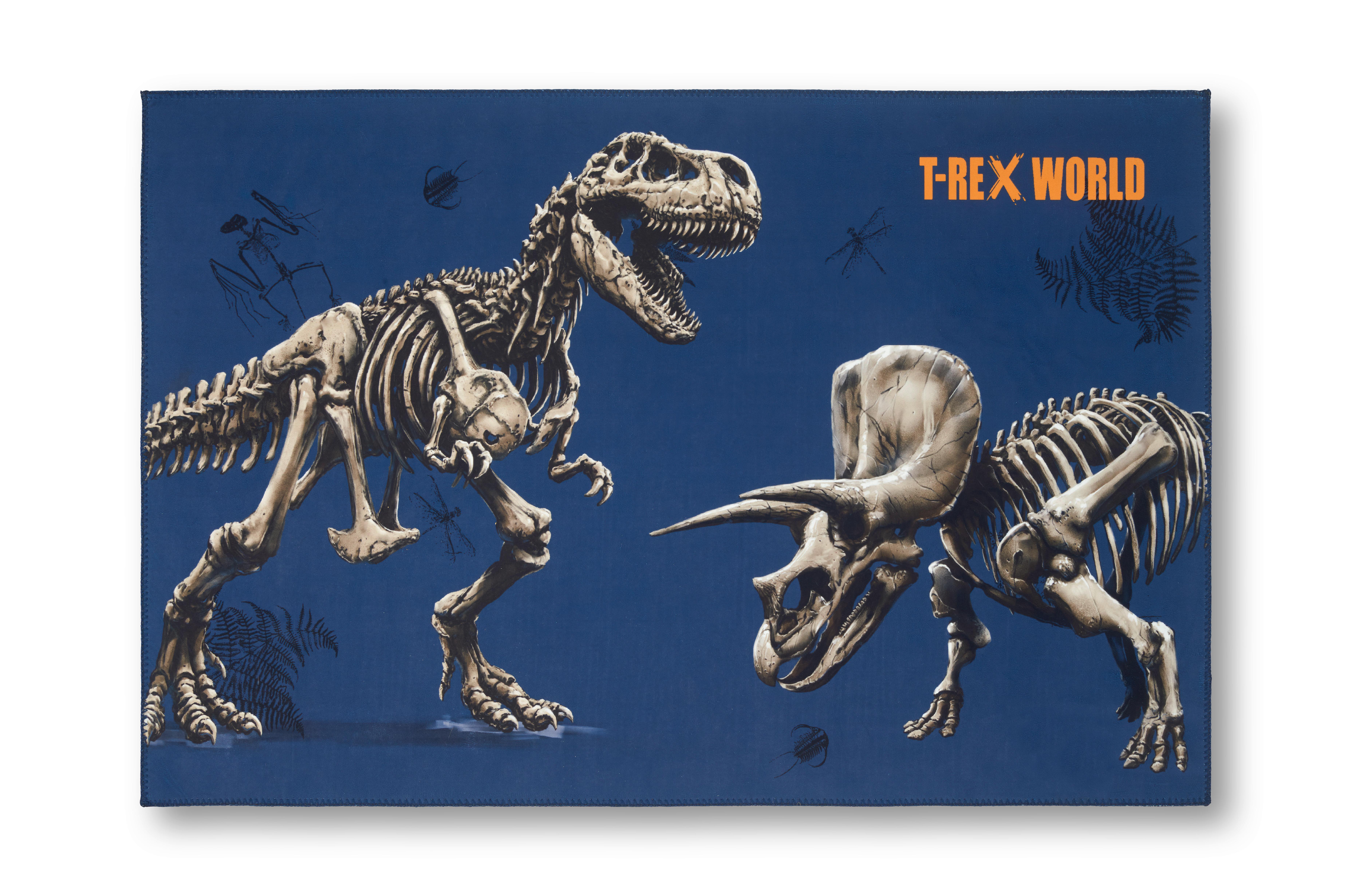 Kinderteppich Dinosaurier Grau Dinos 80x120 cm - Multicolor/Grau, MODERN, Textil (80/120cm)
