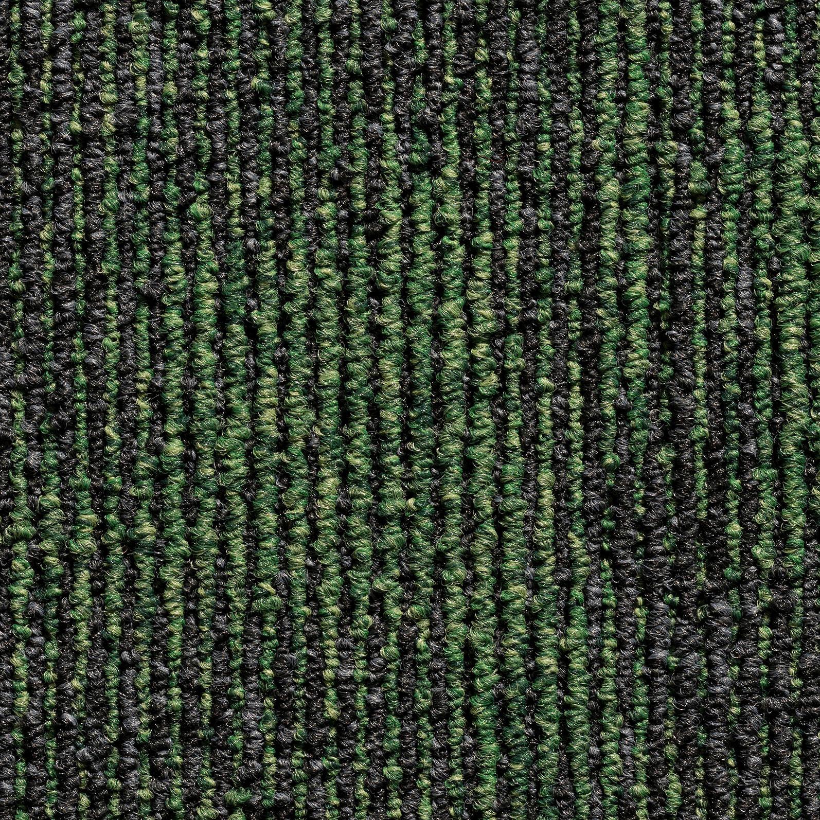Teppichfliese Waldgrün Marmaris 50x50cm Florhöhe 3mm