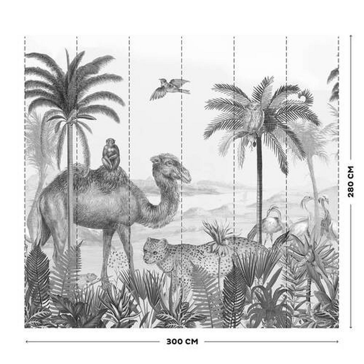 Fototapete Safari - Schwarz/Weiß, Trend, Papier/Kunststoff (300/280cm)