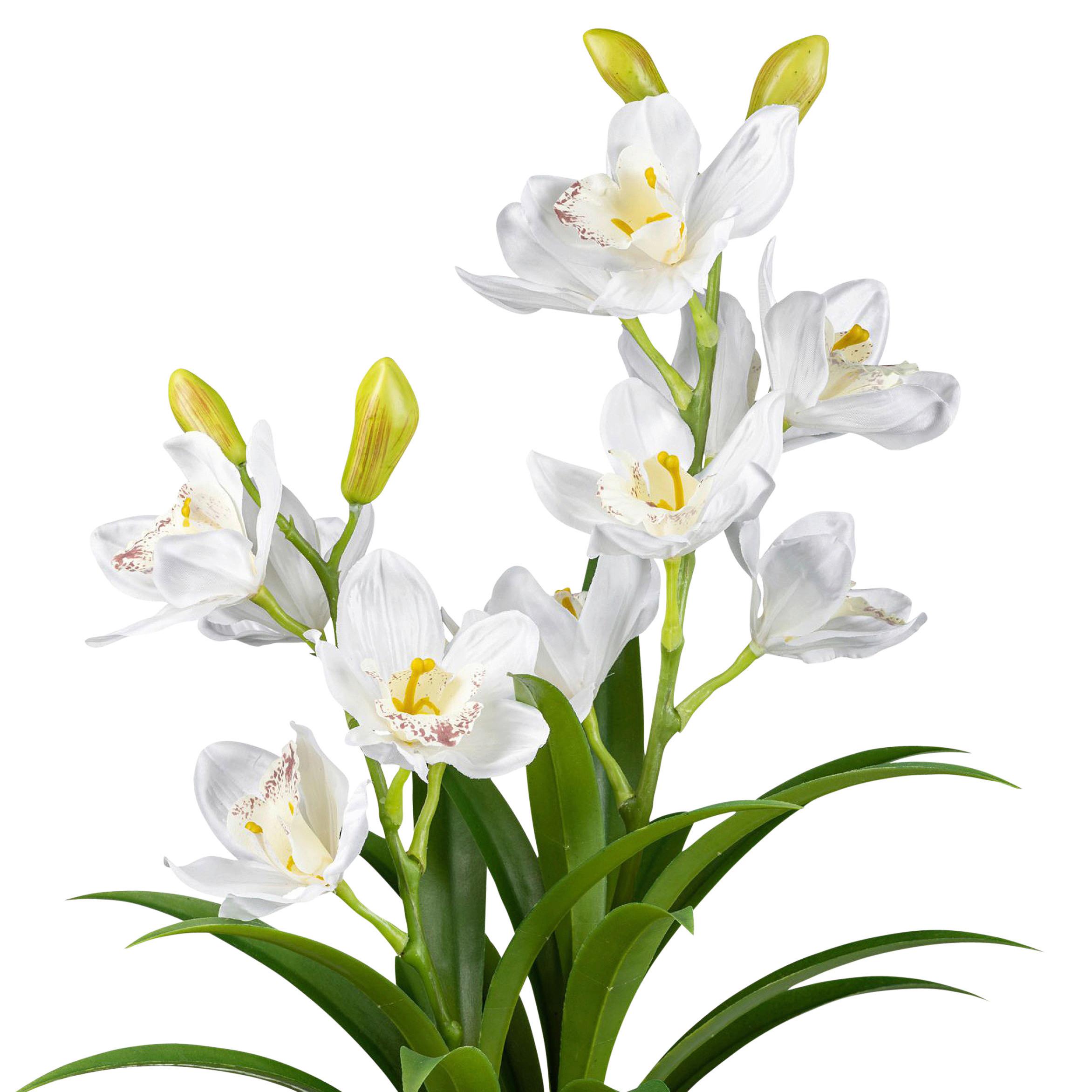 Kunstpflanze Orchideen Weiß, Topf: Grau, H: 58 cm - Weiß/Grau, Design, Kunststoff (58cm) - P & B