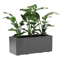 Blumenkasten Anthrazit B: 99,5 Cm - Anthrazit, Basics, Kunststoff (99,5/39,5/39,5cm)