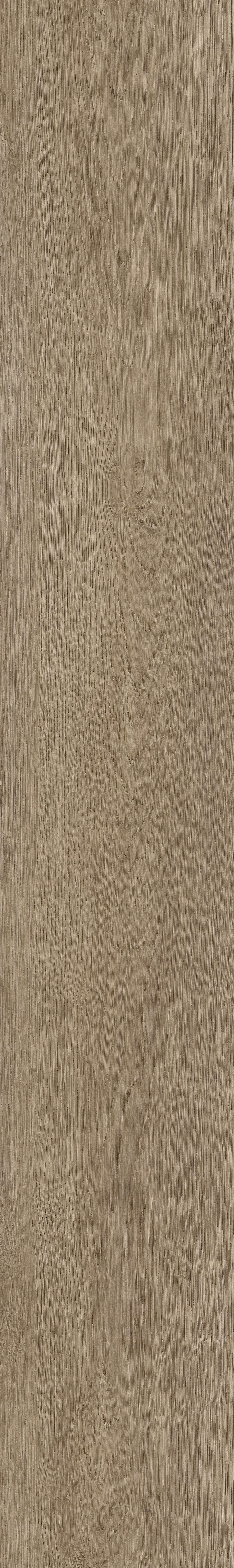 Vinylboden 4052 - Eichefarben, Basics, Kunststoff (18,2/122/0,32cm)