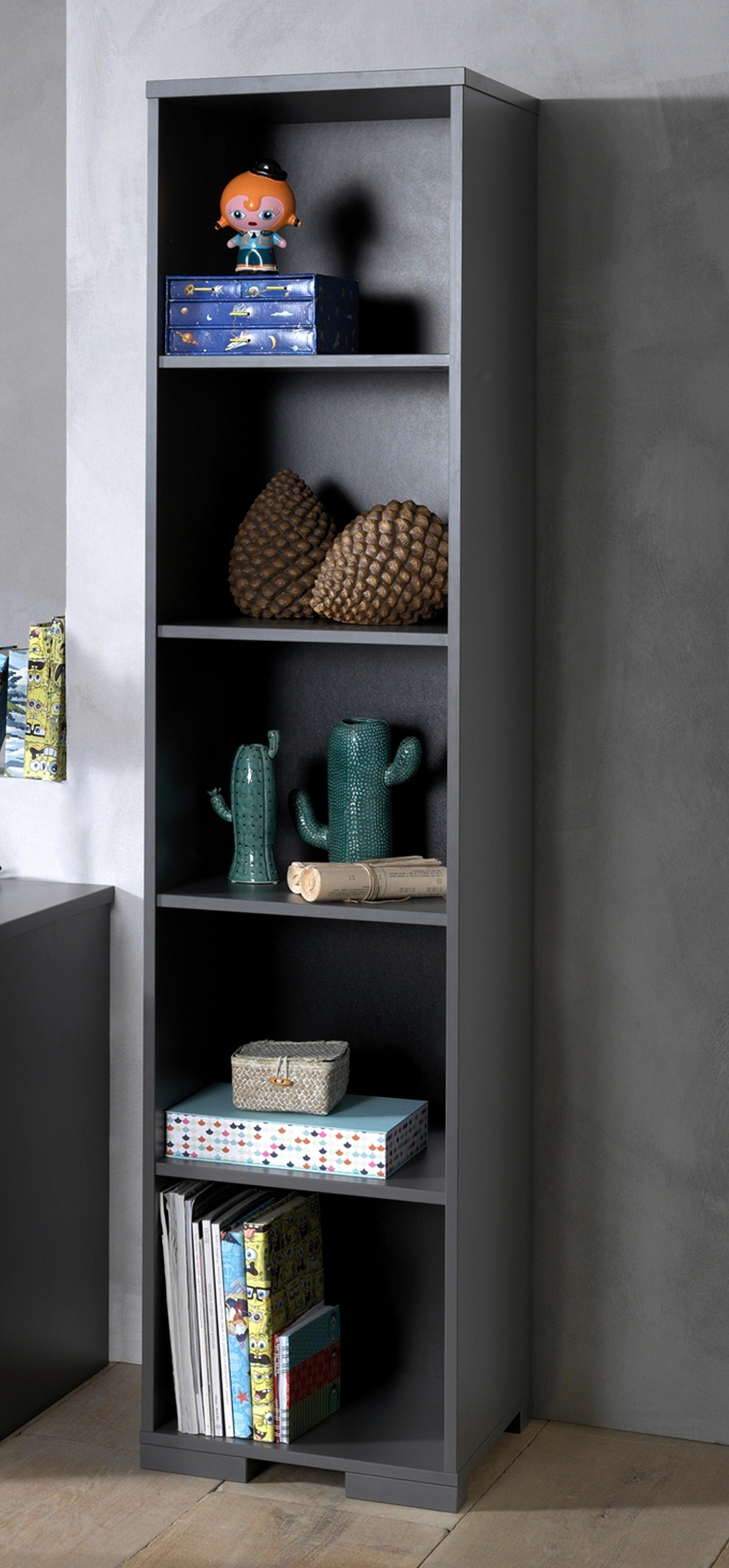 Regal London B: 45,5 Cm Anthrazit - Anthrazit, MODERN, Holzwerkstoff (45,5/195,2/45cm) - MID.YOU
