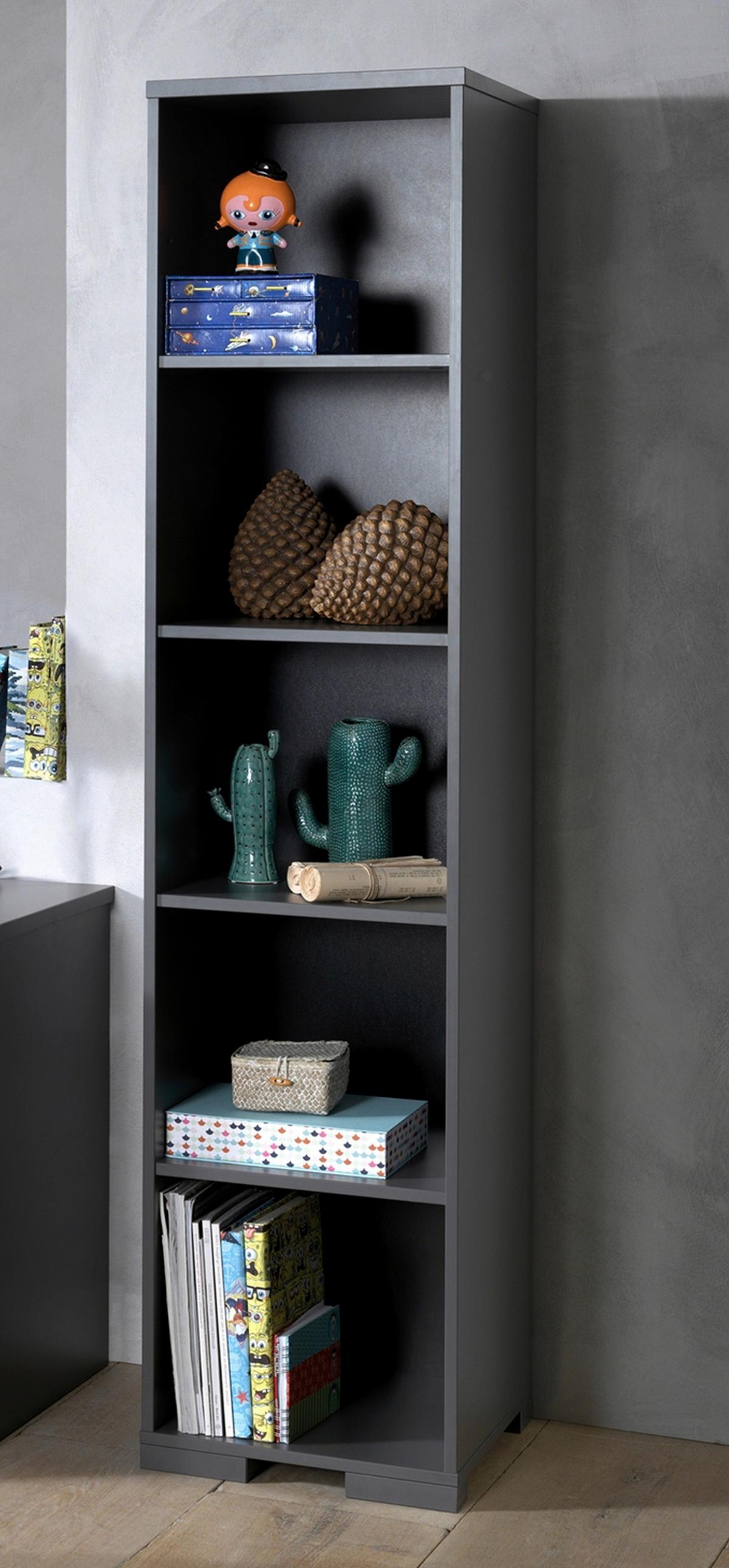 Regal London B: 45,5 Cm Anthrazit - Anthrazit, MODERN, Holzwerkstoff (45,5/195,2/45cm) - MID.YOU
