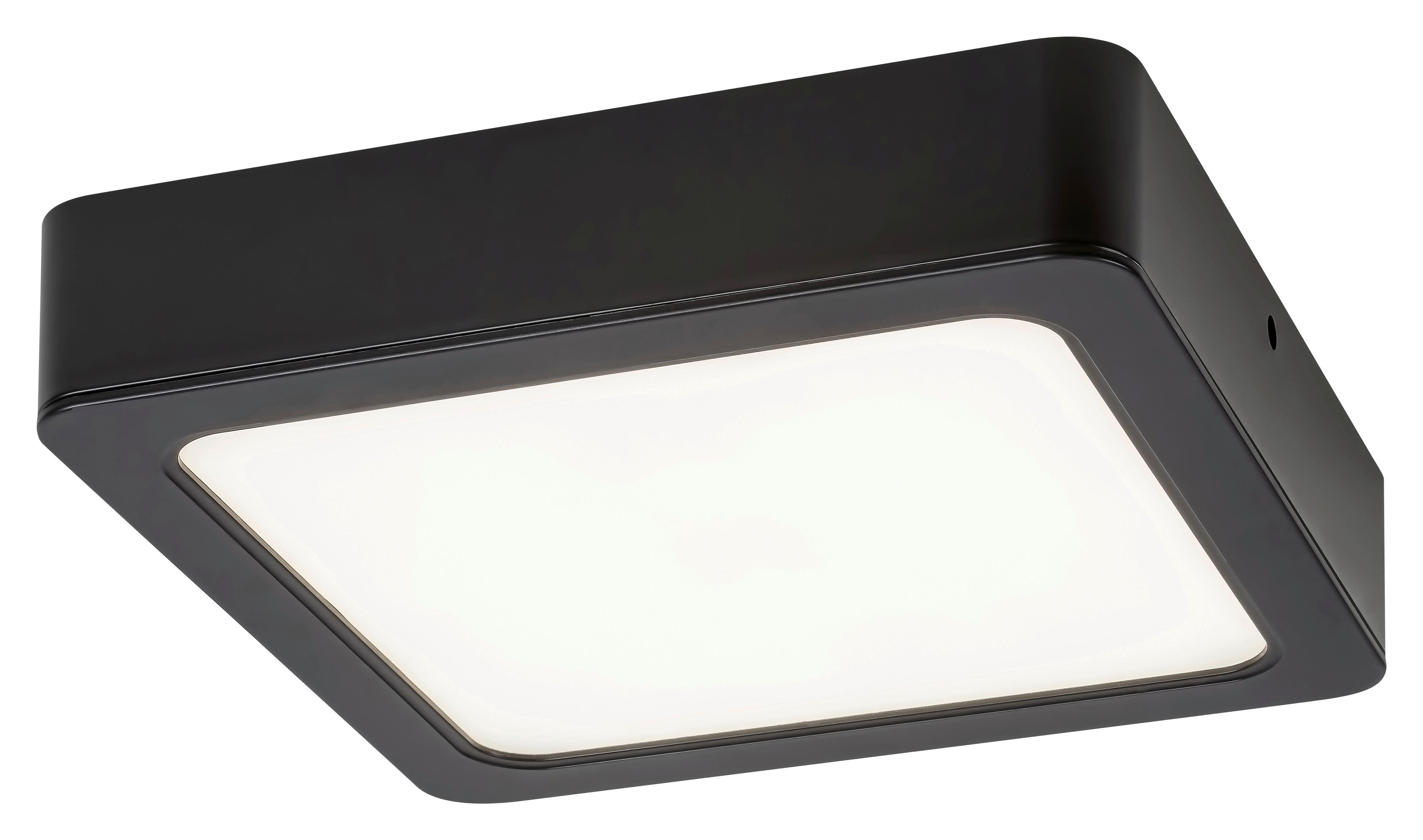 Led Mennyezeti Lámpa Shaun - Basics, Műanyag (4.5/22/22cm) - Rabalux