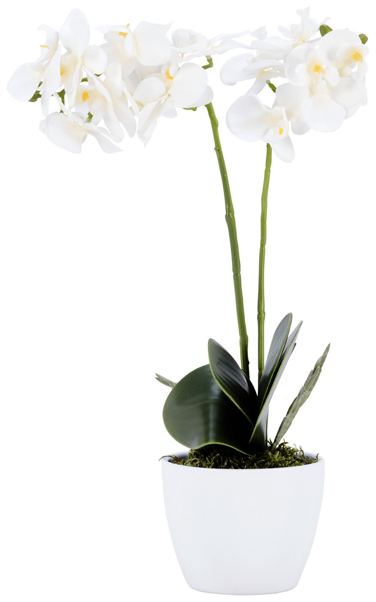 Kunstpflanze Orchidee Bunt H: 40 cm Im Topf, Sofie - Lila/Weiß, KONVENTIONELL, Keramik/Kunststoff (40cm)