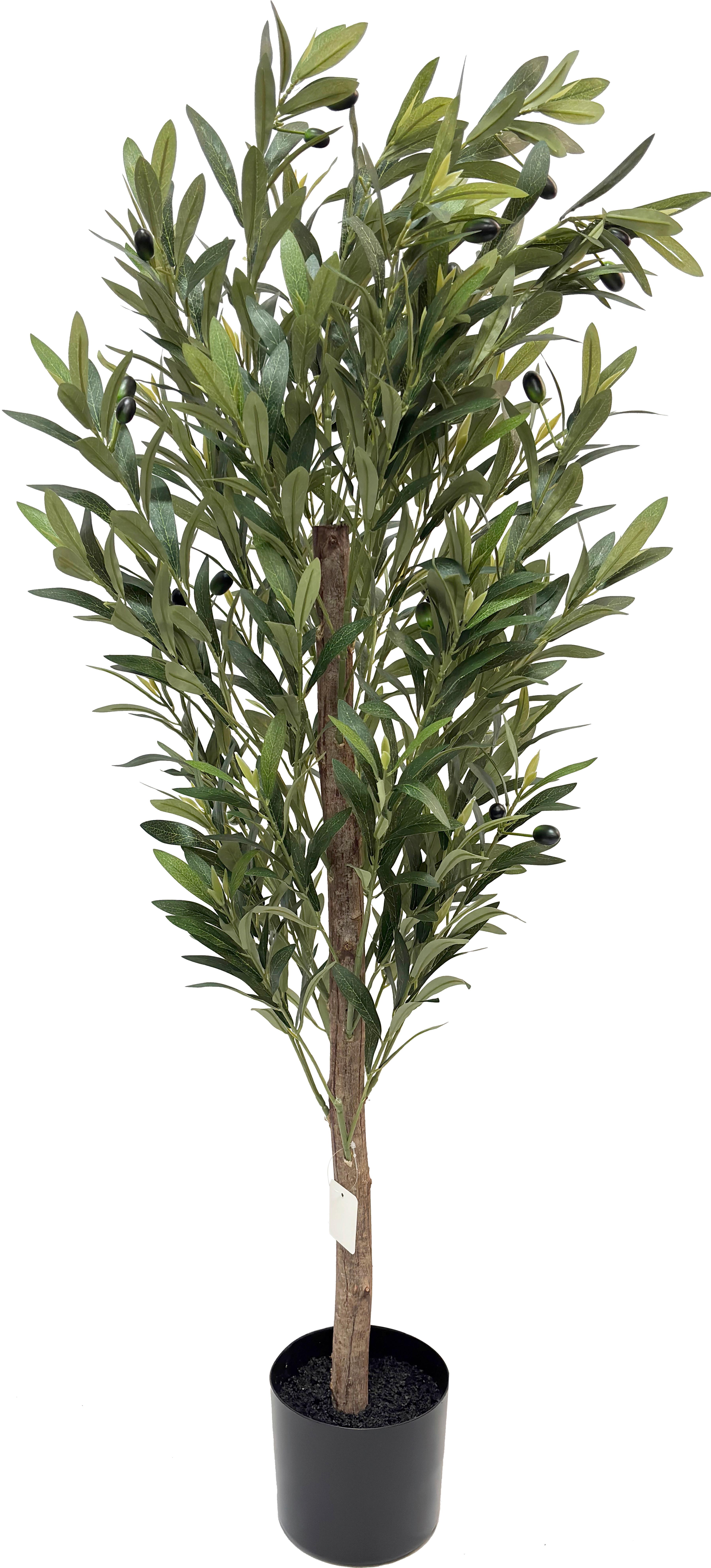 Umelá rastlina OLIVA V: 120 cm - hnedá/čierna, plast/kameň (120cm) - Mömax