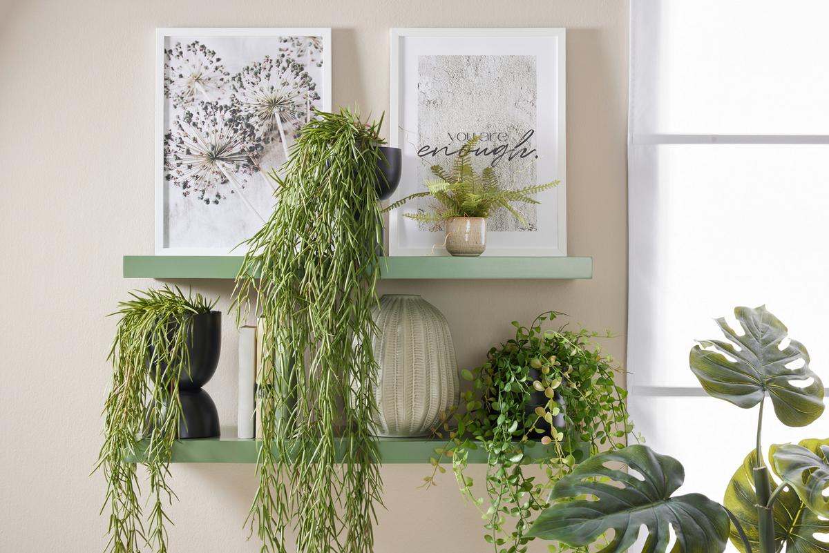 NÁSTĚNNÁ POLICE ANJA -SB- - zelená, Moderní, kompozitní dřevo (80/3,8/23,5cm) - Mömax