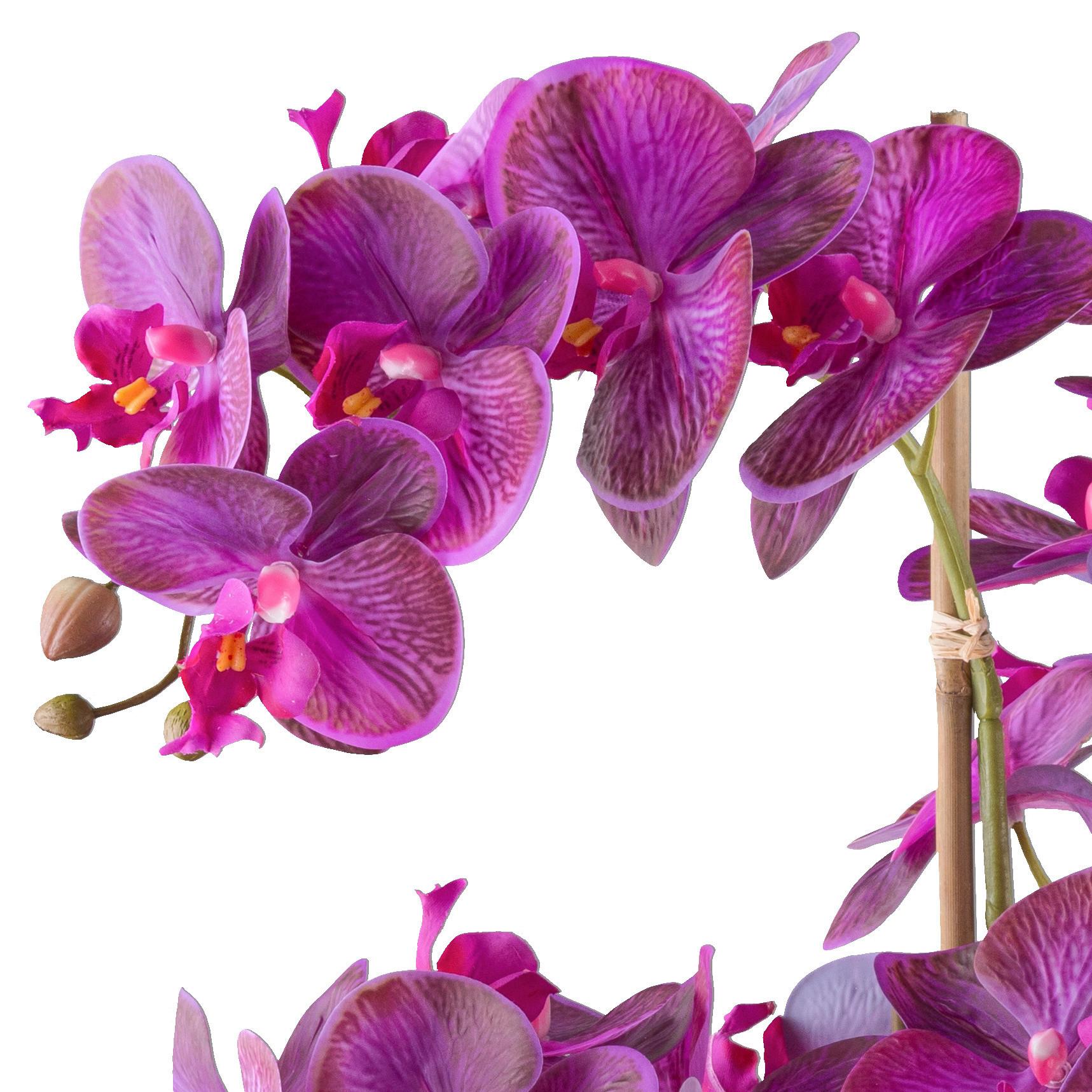 Kunstpflanze Orchideen 70 cm Grün/Lila/Schwarz/Pink - Pink/Lila, Design, Kunststoff (70cm) - P & B