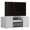 TV-skrinka Lowina š: 95cm biela - čierna/biela, Konventionell, kompozitné drevo/plast (95/40/36cm) - MID.YOU
