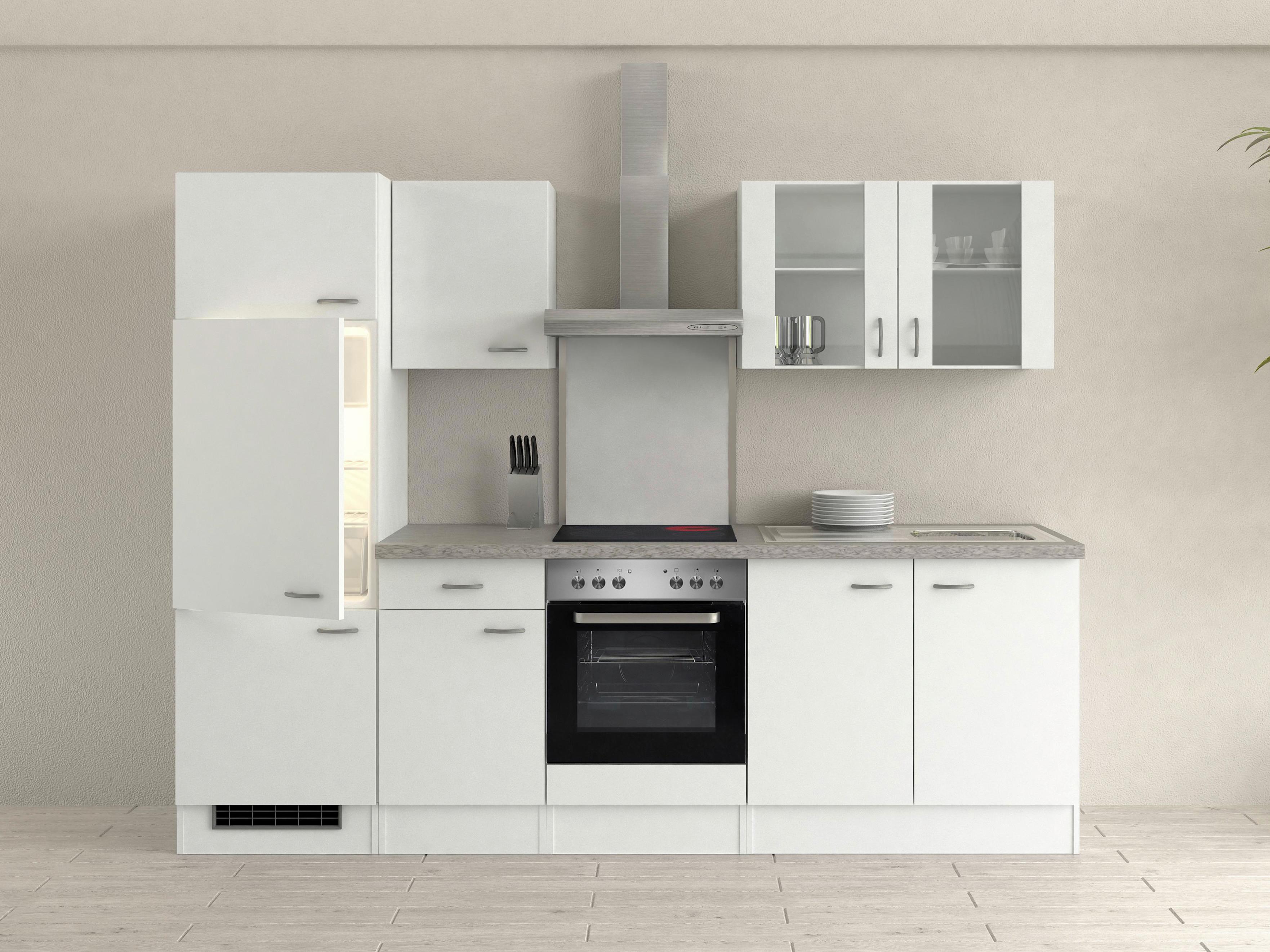 Küchenzeile Wito mit Geräten 270 cm Grau/Weiß Modern - Weiß/Grau, MODERN, Glas/Holzwerkstoff (270cm) - FlexWell