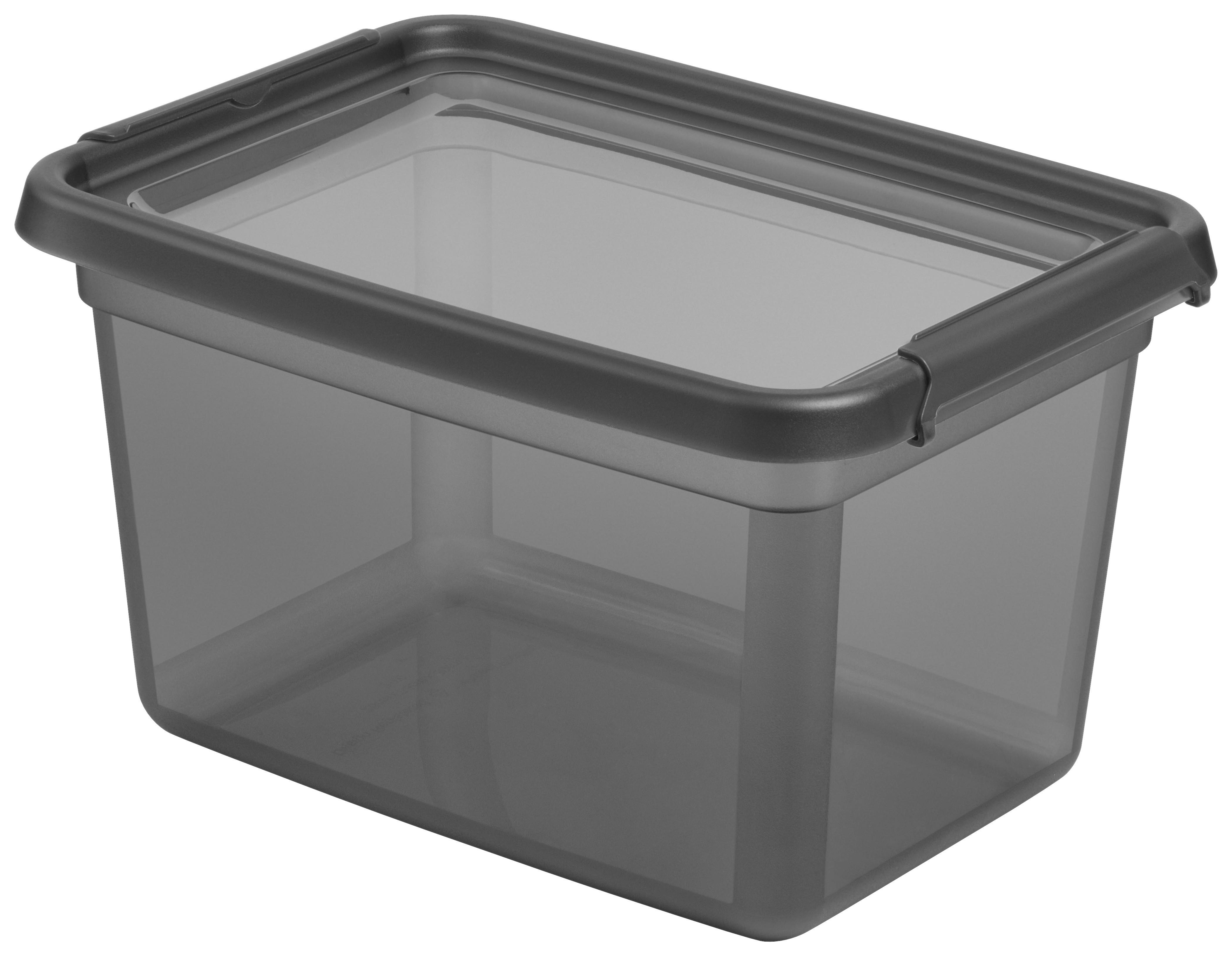 ÚLOŽNÝ BOX BLACKY - CA. 15,5 L - priehľadné/čierna, Modern, plast (28/38/22cm) - Mömax