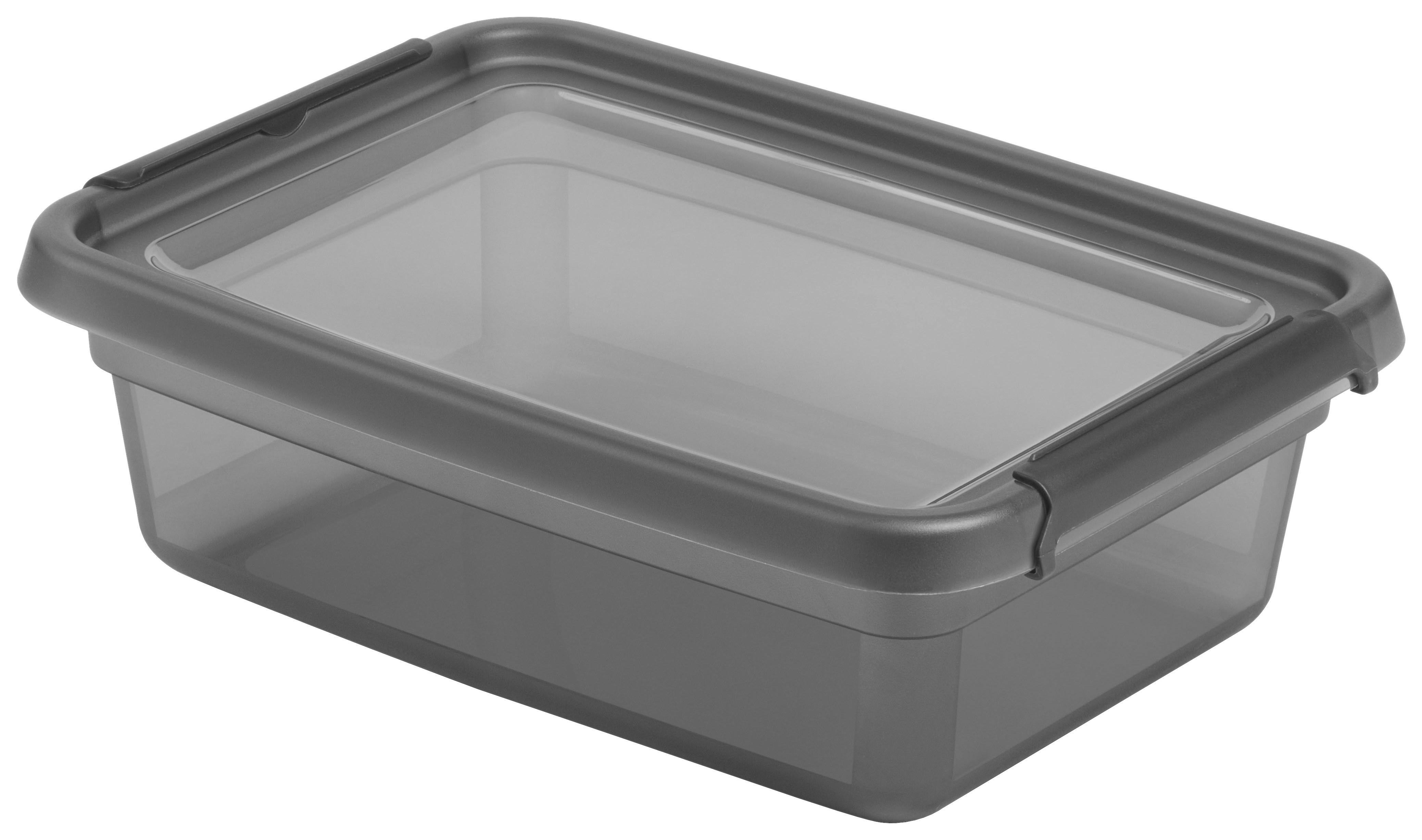 Úložný Box Blacky - Ca. 8,5l - priehľadné/čierna, Moderný, plast (28/38/12cm) - Premium Living