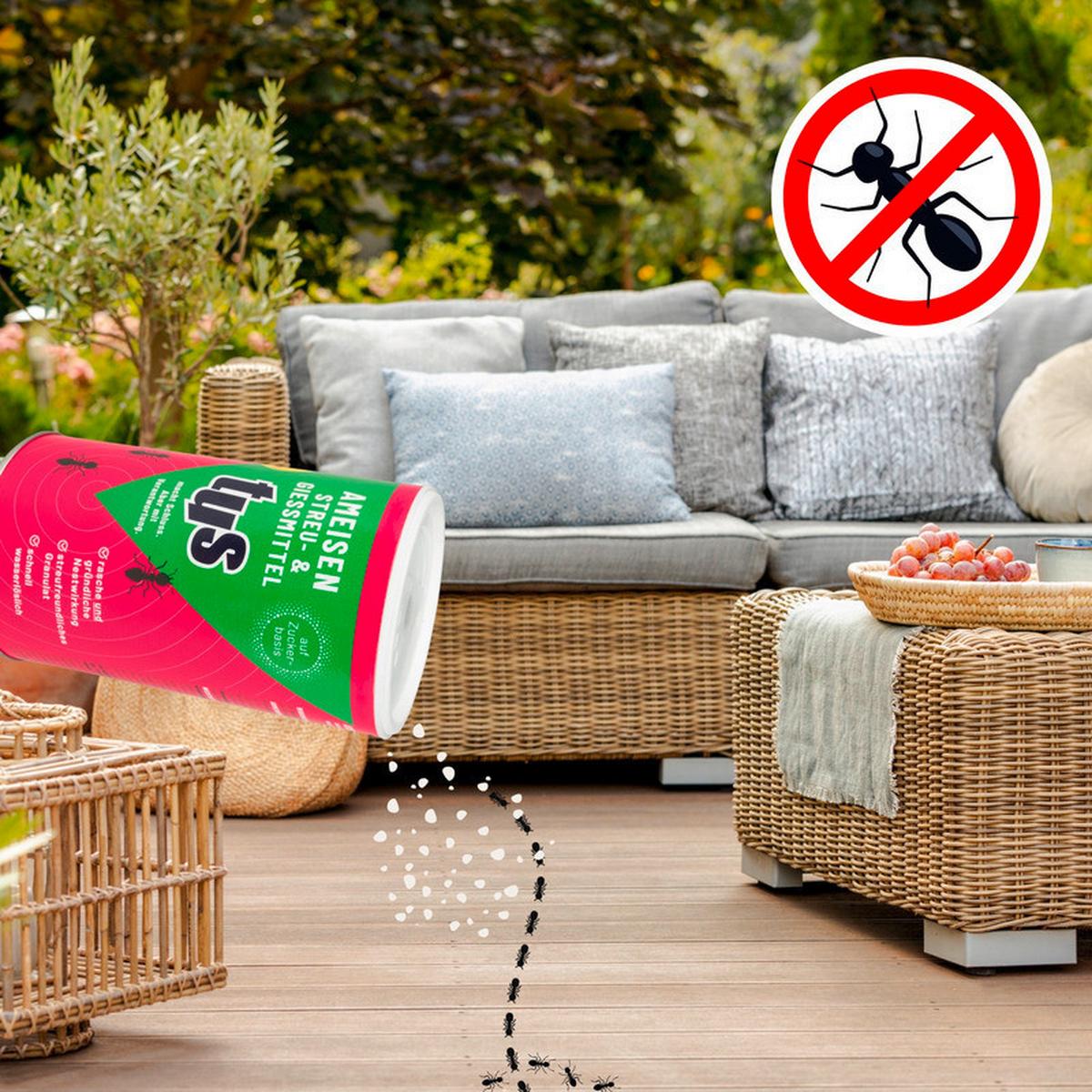 Ameisen- und Insektenpulver Tus Ameisen Streu- und - Basics (0,3kg)