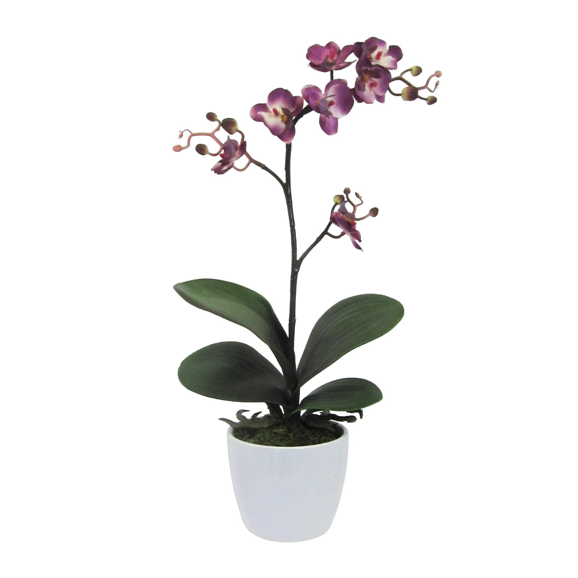 Kunstpflanze Orchideen Lila, Topf: Weiß, H: 55 cm - Lila/Weiß, Design, Keramik/Kunststoff (55cm) - P & B