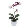 Kunstpflanze Orchideen Lila, Topf: Weiß, H: 55 cm - Lila/Weiß, Design, Keramik/Kunststoff (55cm) - P & B