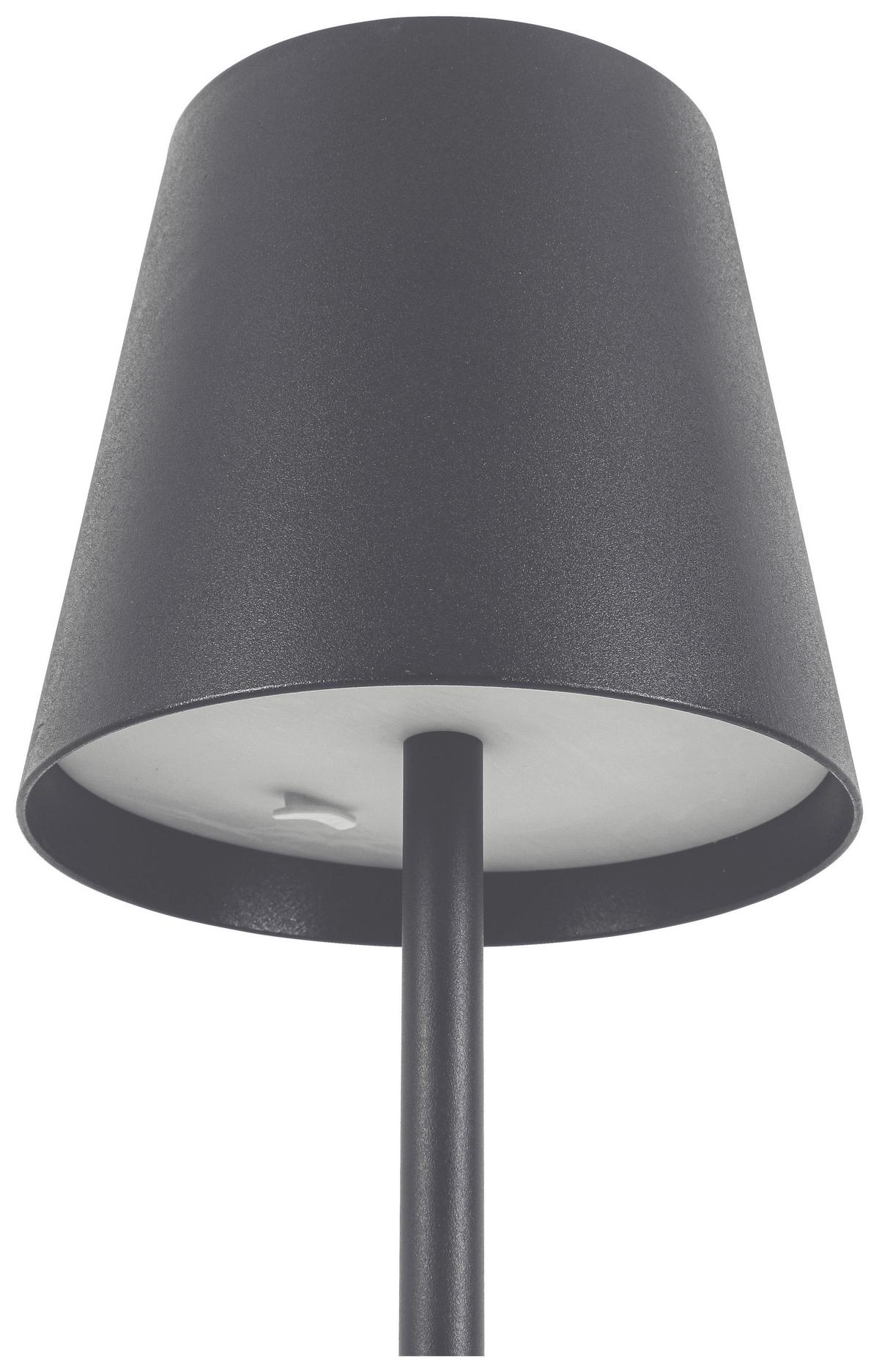 VONKAJŠIE LED SVIETIDLO AUSI - antracitová, Modern, kov/plast (22/130cm) - Modern Living