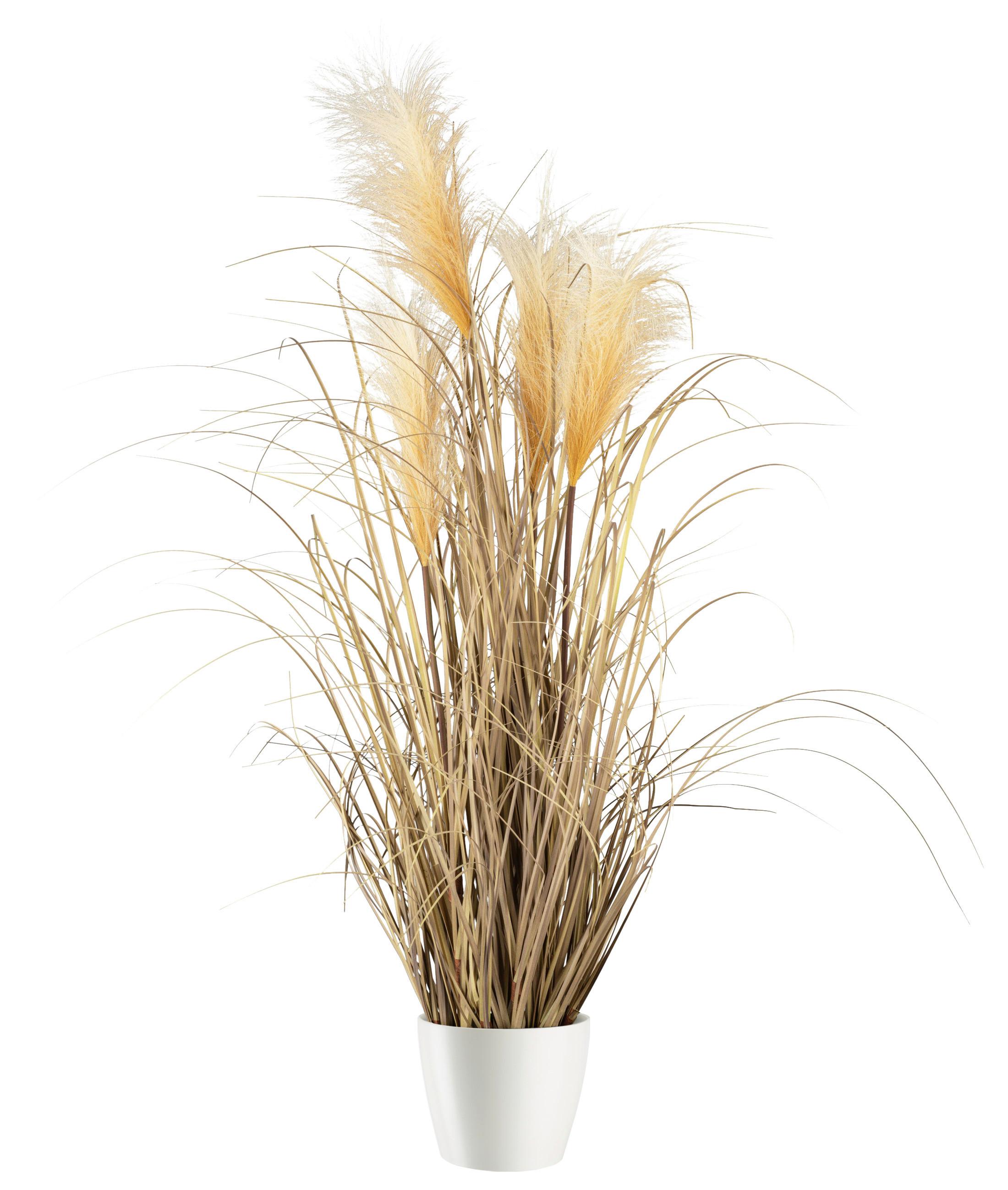 Umelá rastlina Pampová tráva, V: 92cm - prírodná farba, Modern, plast (92cm) - Modern Living