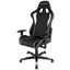 Gamingstuhl DX Racer Formula Schwarz/Weiß - Schwarz/Weiß, MODERN, Kunststoff/Textil (67/119-128/67cm) - Dxracer Gamingstuhl DX Racer Formula Schwarz/Weiß - Schwarz/Weiß, MODERN, Kunststoff/Textil (67/119-128/67cm) - Dxracer