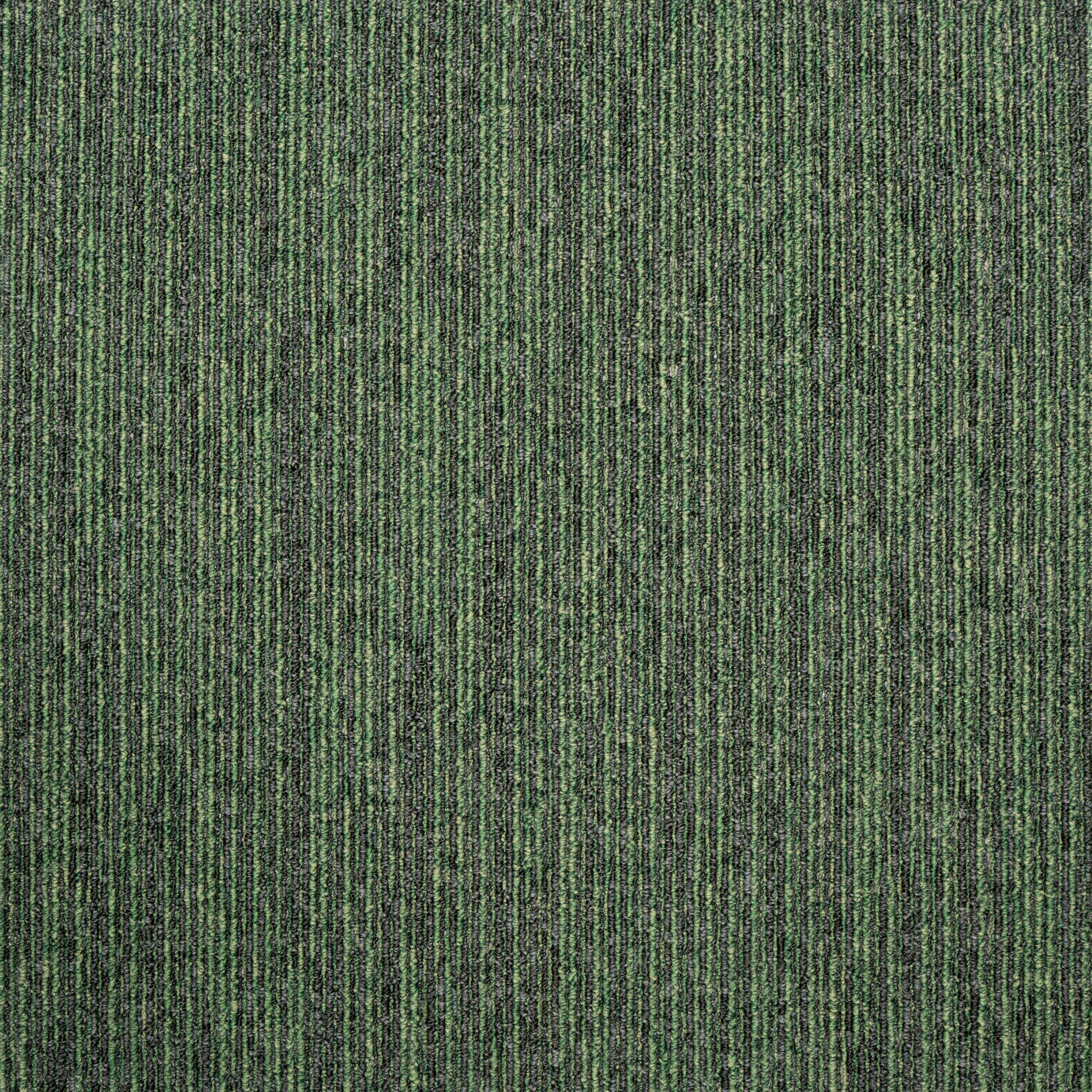 Teppichfliese Grün/Grau Ambition 50x50 cm Florhöhe 3mm - Grau, Basics, Textil (50/50cm)
