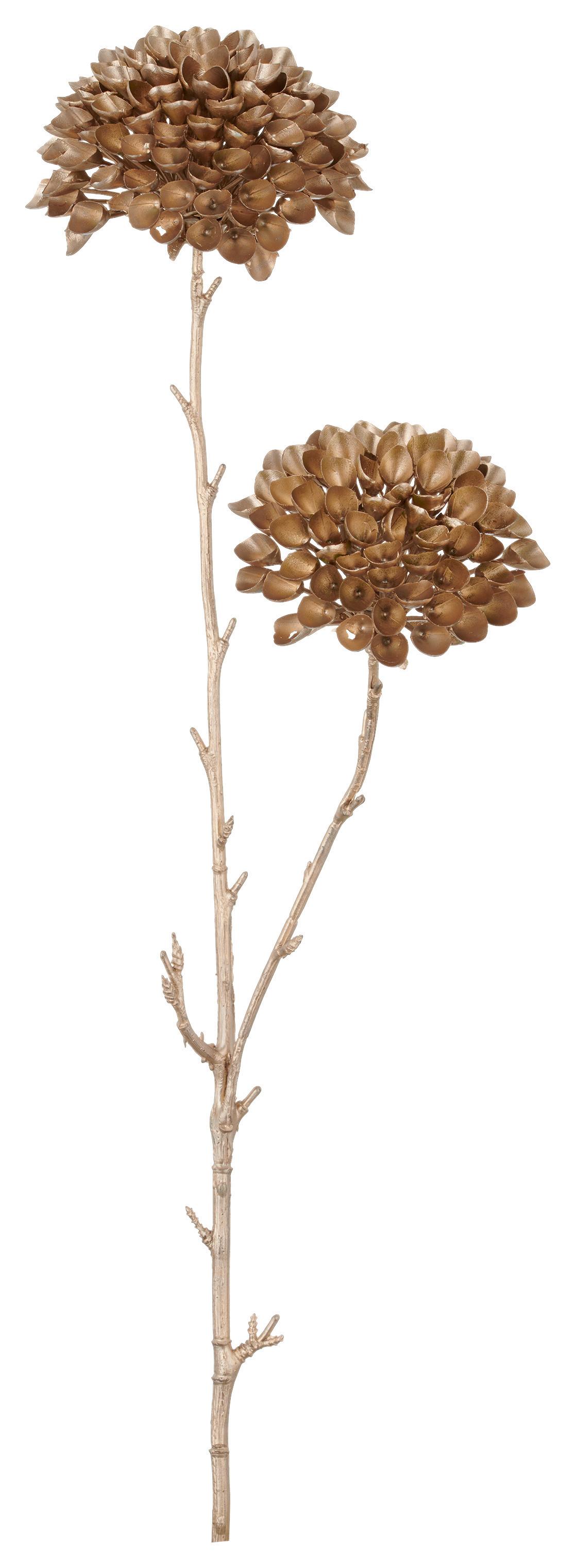 Umelá rastlina Výška: 52 cm - šampanská/prírodná farba, Basics, plast (52cm) - Mömax