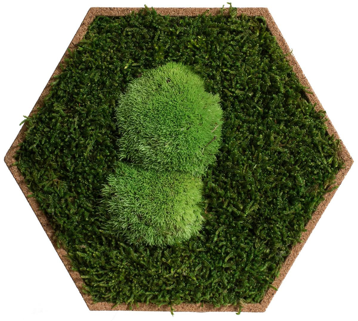 Moospaneel Grün Hellbraun B: 19 cm - Hellbraun/Grün, Basics, Naturmaterialien/Holz (19/22cm)
