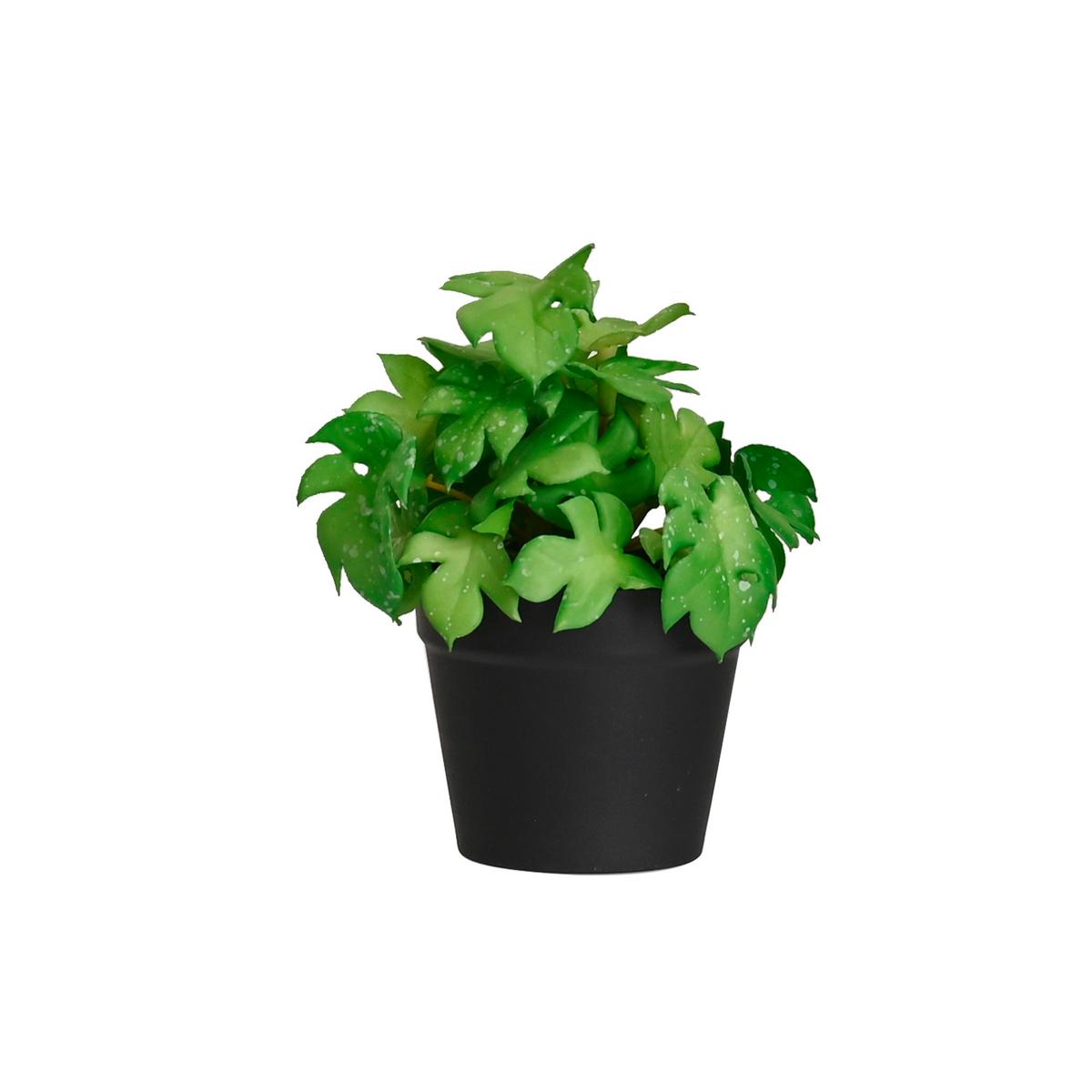 UMĚLÁ ROSTLINA PFLANZENGESTECK -TOP- - černá/zelená, plast (7/13cm) - Mömax