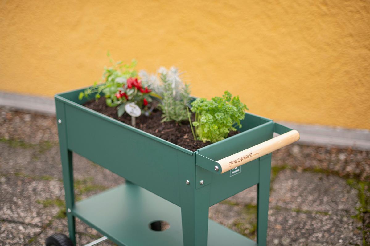 Hochbeet Kräuterfabrik Urban - Olivgrün, Basics, Metall (35/80/75cm)