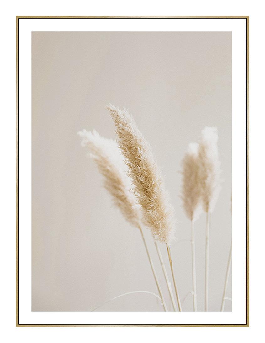 Obraz Na Plátně Flora -Paz- - přírodní barvy, Lifestyle, kompozitní dřevo/textil (63/83/2,5cm) - Modern Living