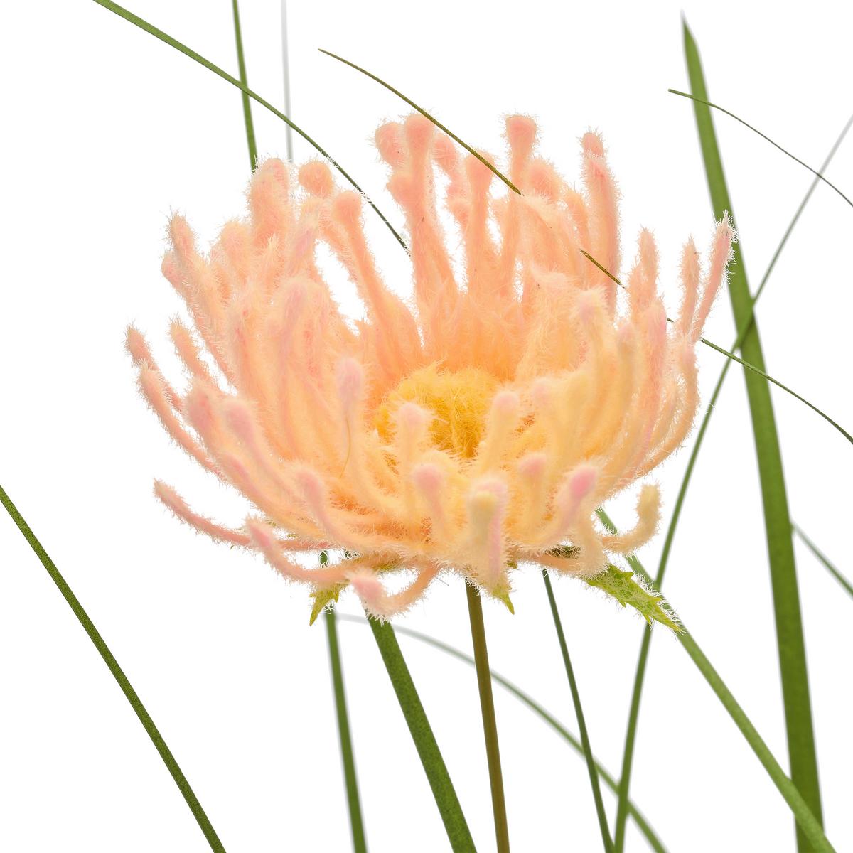 Trs trávy BLOSSOM I -PAZ- - marhuľová/zelená, Basics, kov/plast (100cm) - Mömax