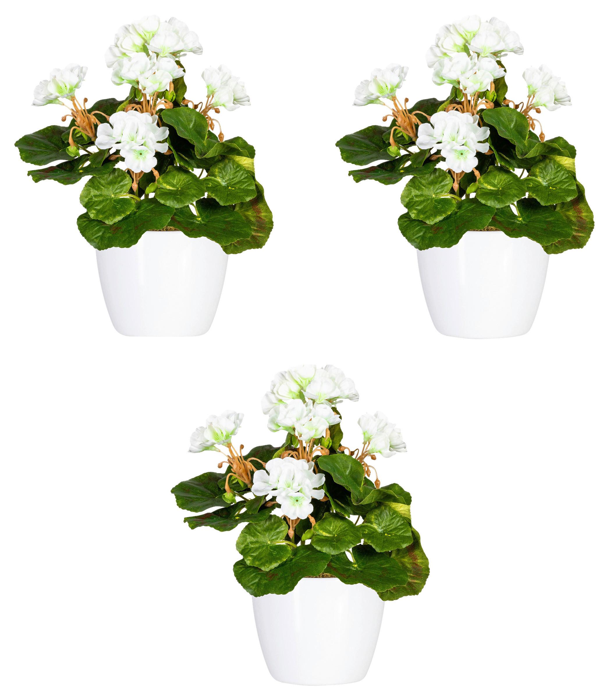 Kunstpflanze Blühpflanzen Weiß/Grün, 24 cm - Weiß/Grün, Design, Keramik/Kunststoff (24cm)