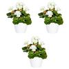 Kunstpflanze Blühpflanzen Weiß/Grün, 24 cm - Weiß/Grün, Design, Keramik/Kunststoff (24cm)
