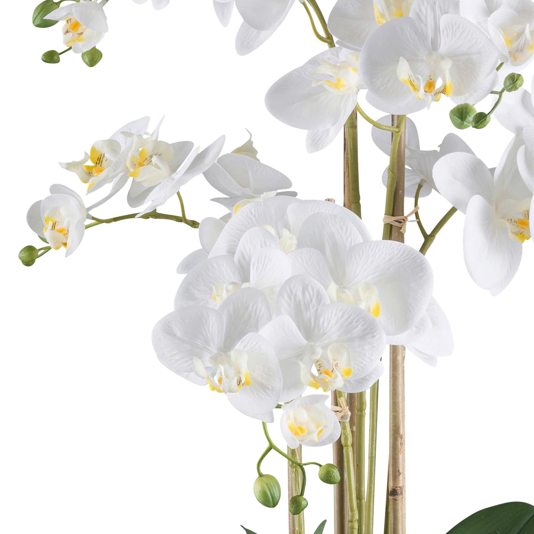 Kunstpflanze Orchidee H: 70 cm - Weiß/Grün, Design, Kunststoff (70cm) - P & B