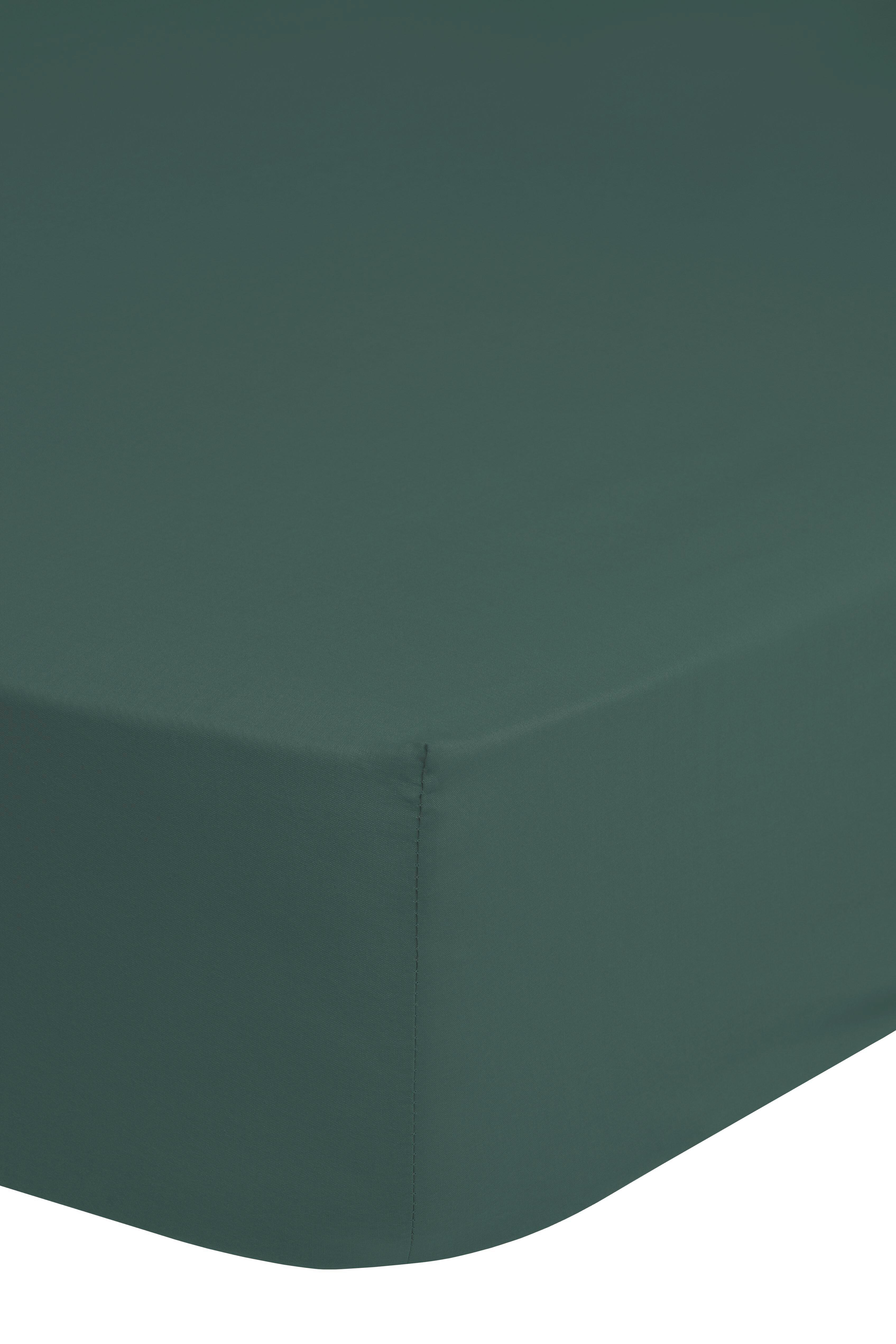 Spannleintuch Easy Care Olivgrün 160x200 Cm Baumwolle - Olivgrün/Grün, Basics, Textil (160/200cm) - MID.YOU