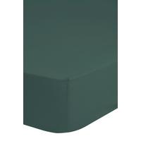 Spannleintuch Easy Care Olivgrün 180x220 Cm Renforce - Olivgrün/Grün, Basics, Textil (180/220cm) - MID.YOU