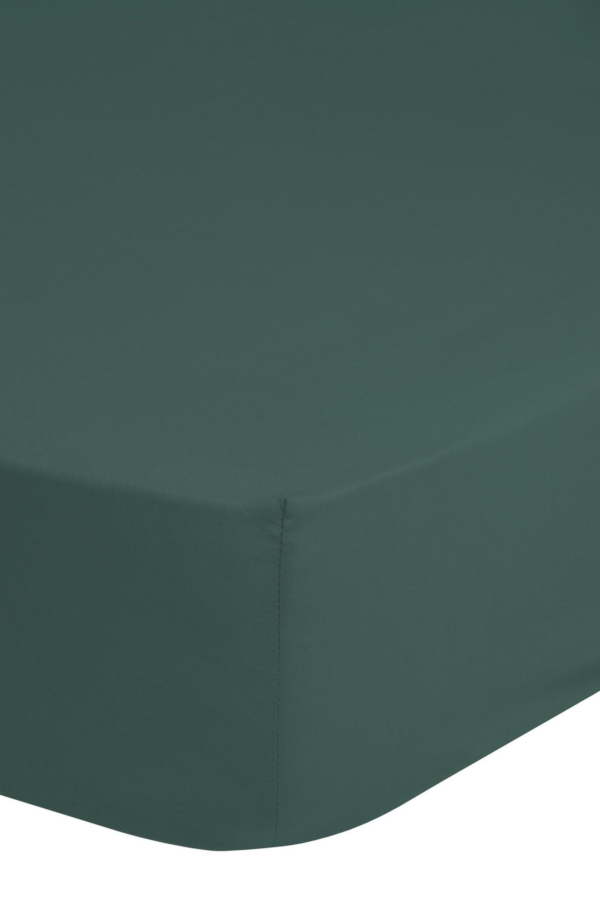 Spannleintuch Easy Care Olivgrün 180x220 Cm Renforce - Olivgrün/Grün, Basics, Textil (180/220cm) - MID.YOU