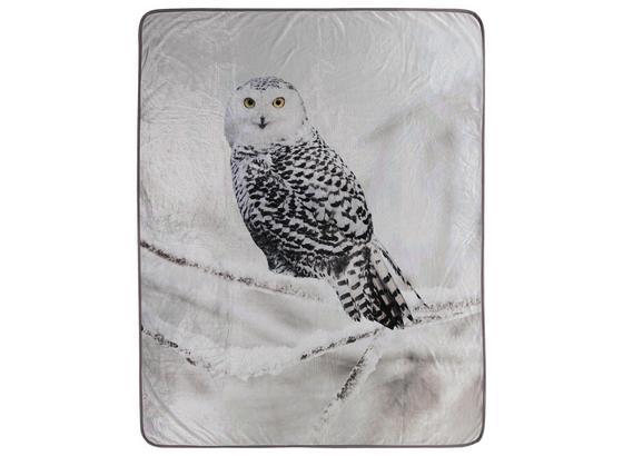Kuscheldecke Schneeeule - Weiß/Grau, Textil (130/160cm) Kuscheldecke Schneeeule - Weiß/Grau, Textil (130/160cm)