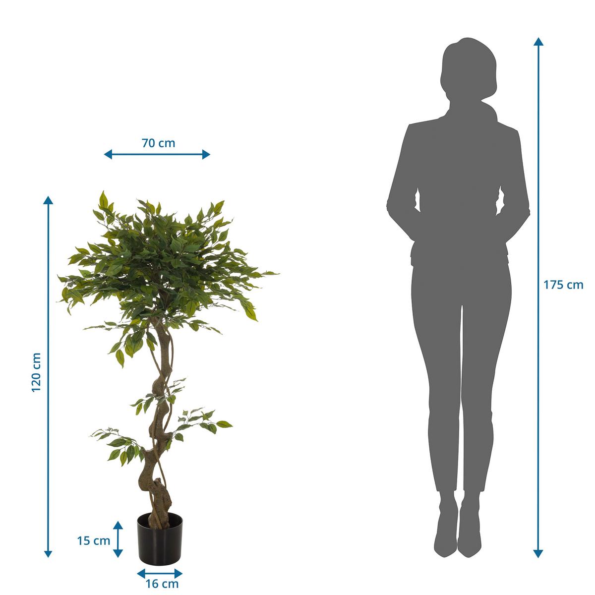 Kunstpflanze Ficus I - Schwarz/Braun, Basics, Kunststoff (70/120/70cm) - MID.YOU