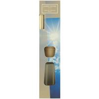 DIFFUSER FRESH AIR - Naturfarben, Basics (5/24cm) - James Wood