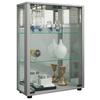 Vitrine Sintalo Silberfarben B: 60 Cm - Silberfarben, MODERN, Glas/Holzwerkstoff (60/80/25cm) - MID.YOU