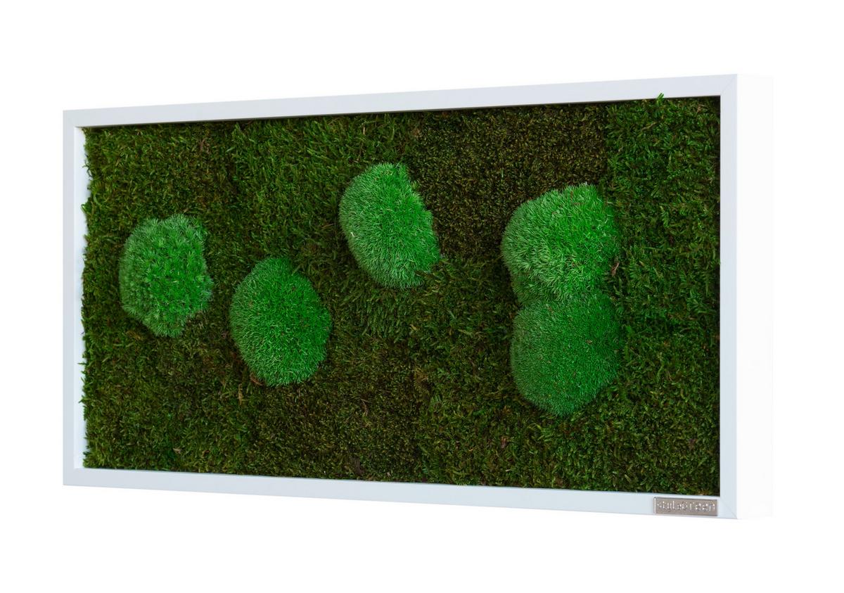 Moosbild Grün B: 57 Cm - Weiß/Grün, Basics, Naturmaterialien/Holz (57/27/6cm)