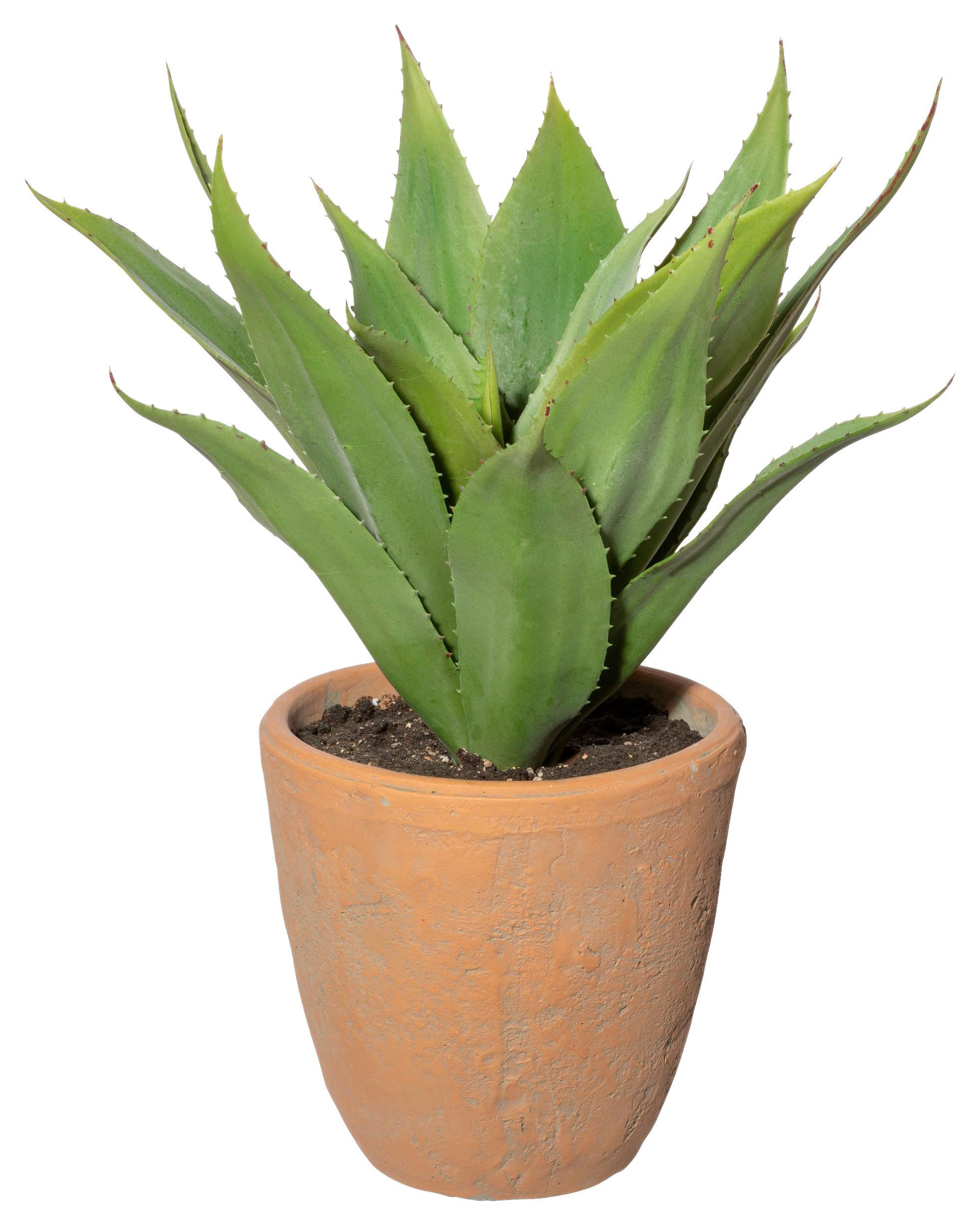 Kunstpflanze Sukkulenten Grün/Naturfarben, 40 cm - Naturfarben/Grün, Design, Keramik/Kunststoff (40cm)