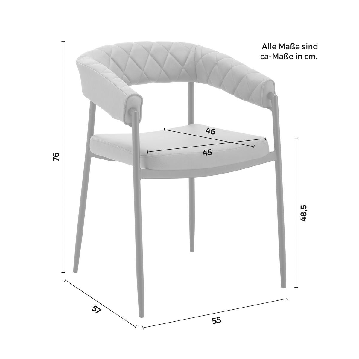 Židle LANI šedá - šedá/černá, Moderní, kov/dřevo (55/76/57cm) - Bessagi Home