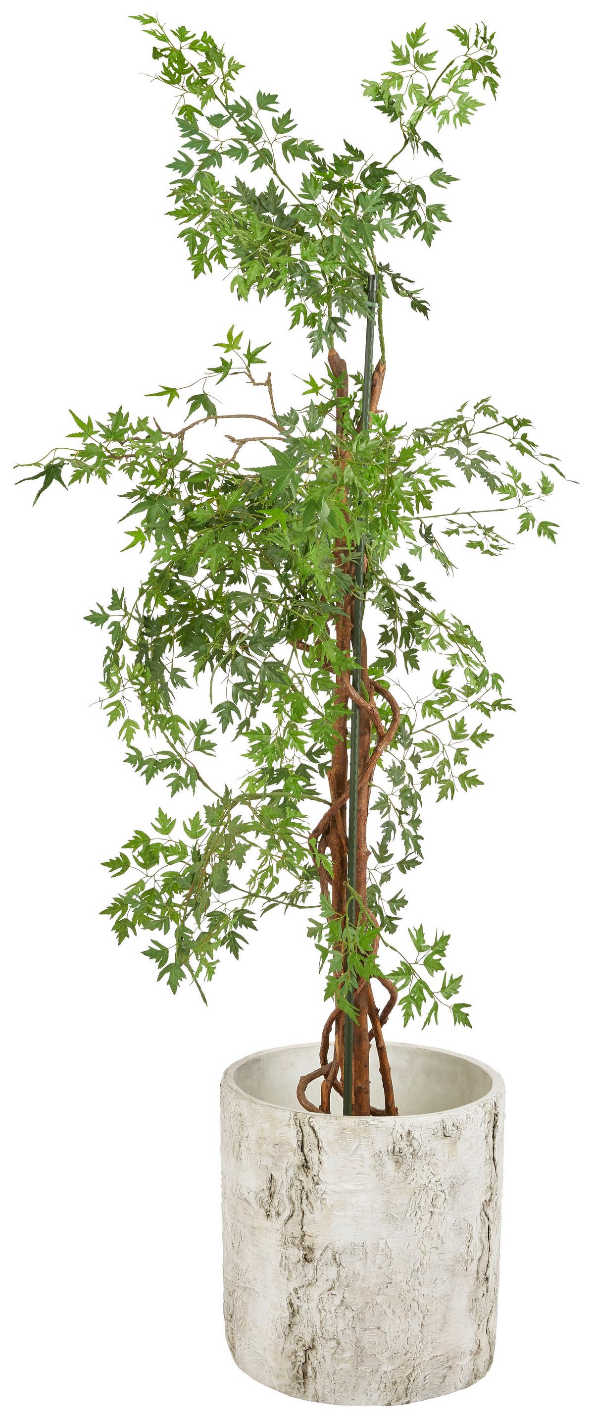 Rankhilfe Pflanzstab Grün - Grün, Basics, Kunststoff/Metall (90cm)
