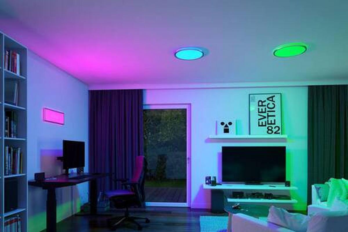LED-Paneel Ø 29,3 cm Rund dimmbar - Chromfarben, Basics, Kunststoff (29,3cm) - Paulmann