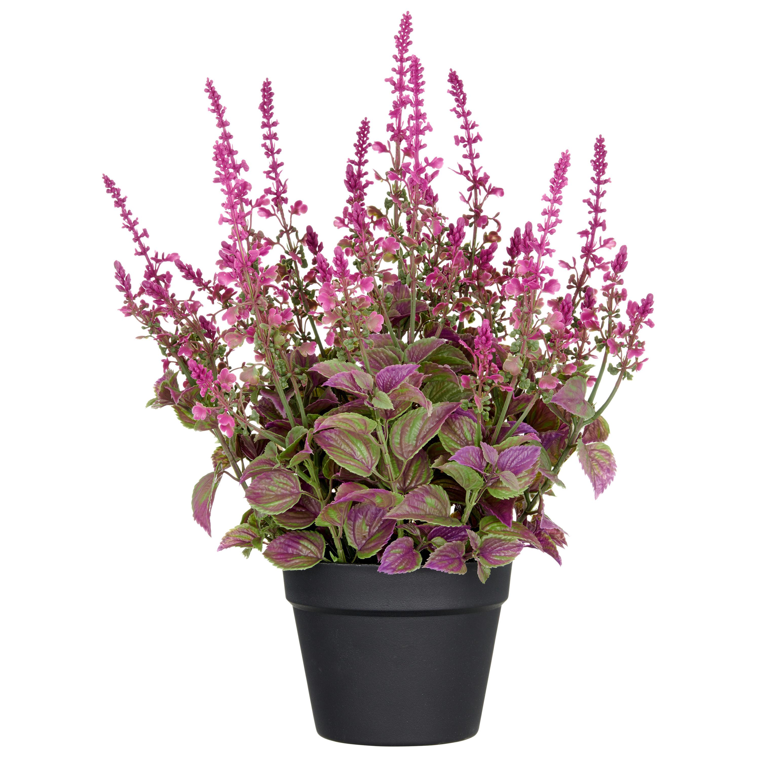 Kunstpflanze Grün Pink B: 19 cm - Pink/Schwarz, Basics, Kunststoff (59cm) - P & B
