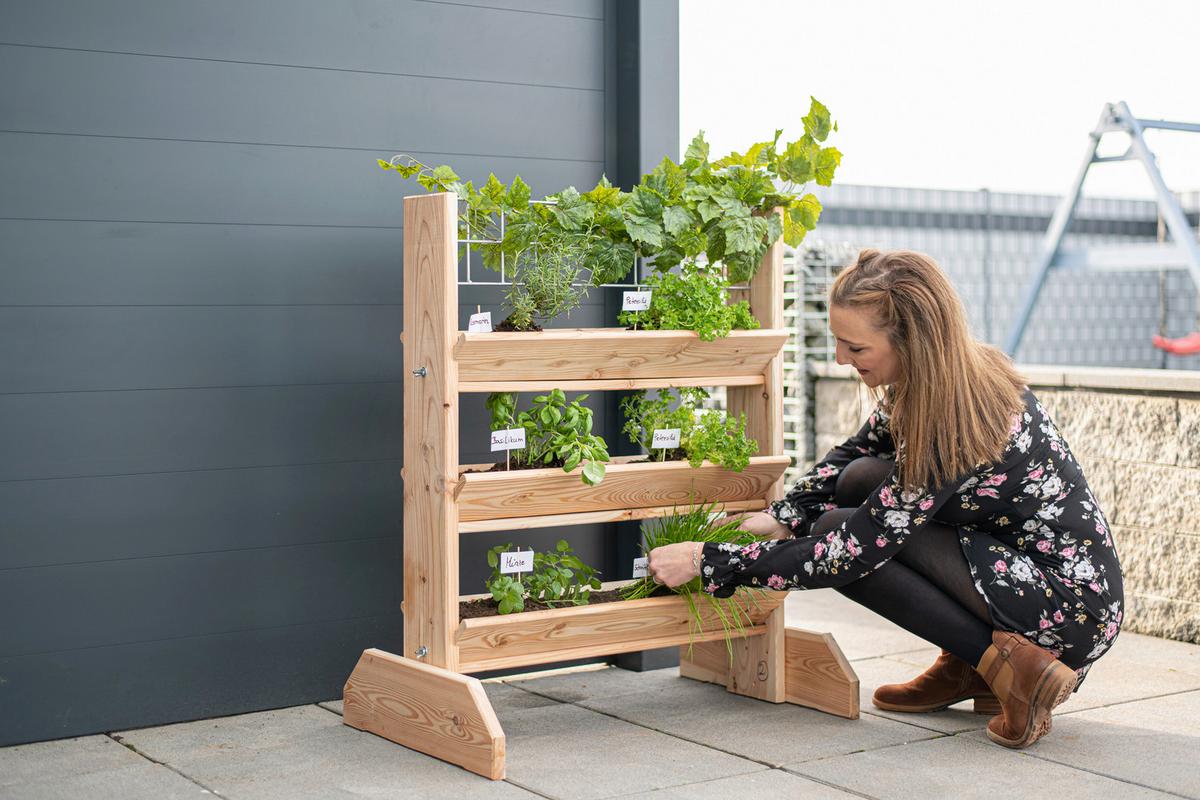 GARTENREGAL KRÄUTERREGAL L - Lärchefarben, Basics, Holz (80/95/50cm)