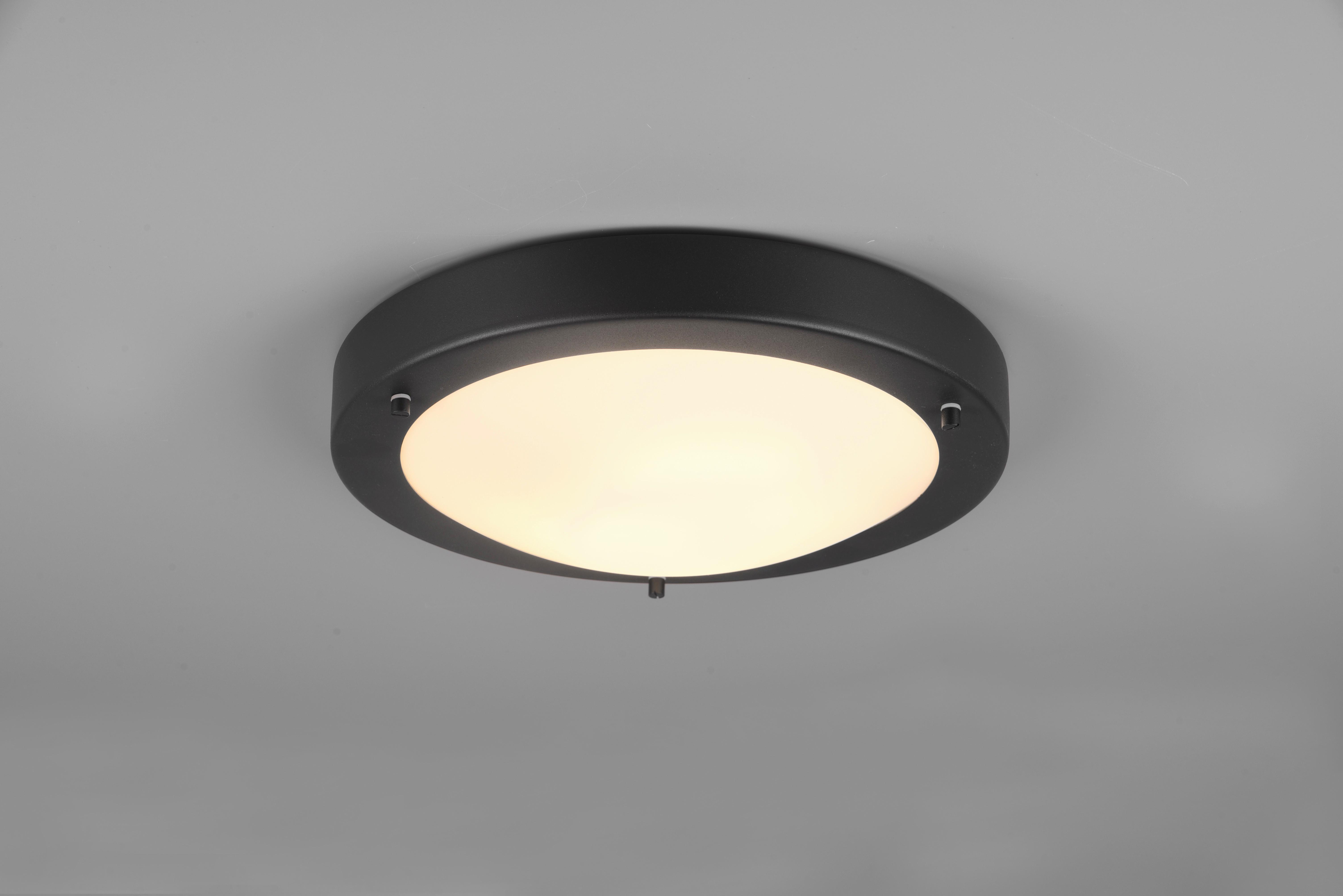 Deckenleuchte Condus Ø 31,5 cm 1-Flammig - Schwarz/Weiß, Basics, Glas/Metall (31,5/8cm) - Trio Leuchten